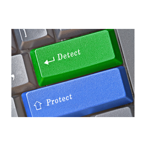 Endpoint & Device Protection